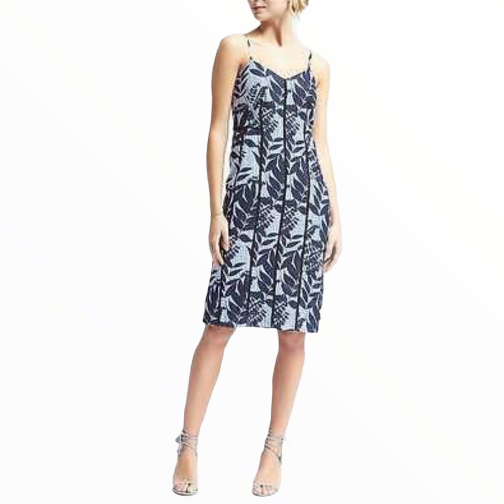 Banana Republic Blue Striped Floral Dress Size 2